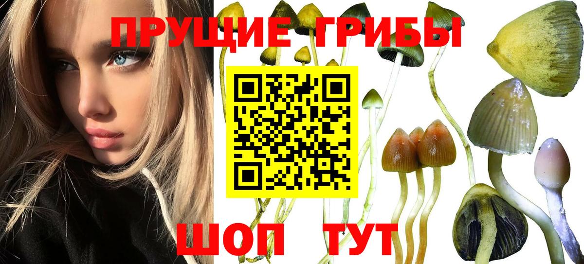 Белгород  Галлюциногенные грибы ЛСД  Псилоцибиновые грибы Cubensis  Вход с VPN 
