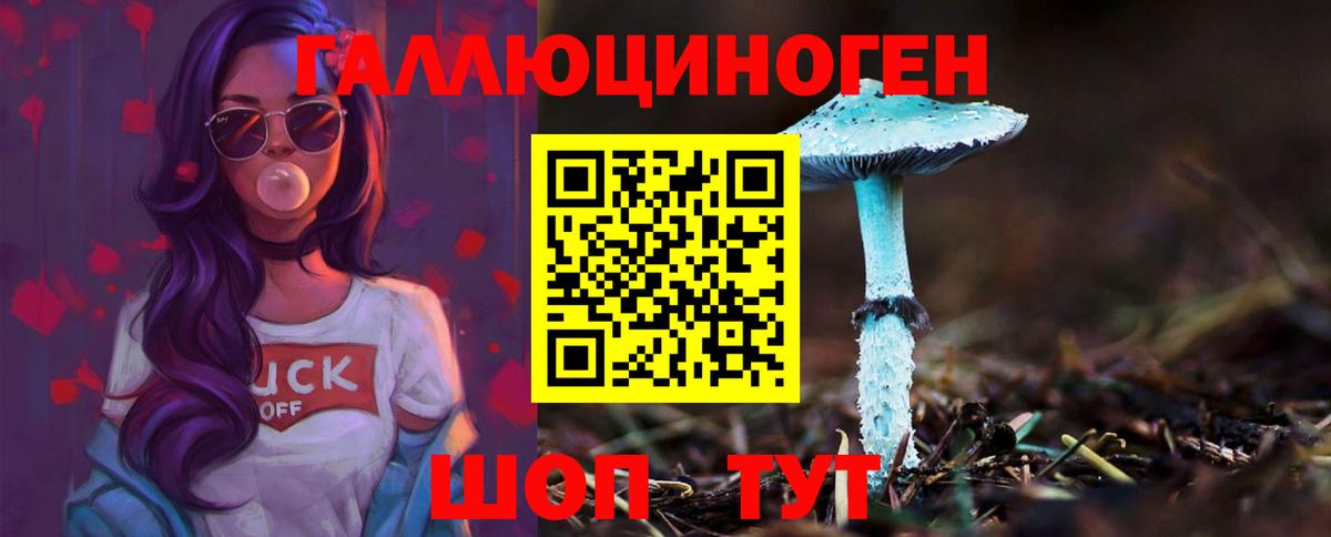 Псилоцибиновые грибы GOLDEN TEACHER Белгород